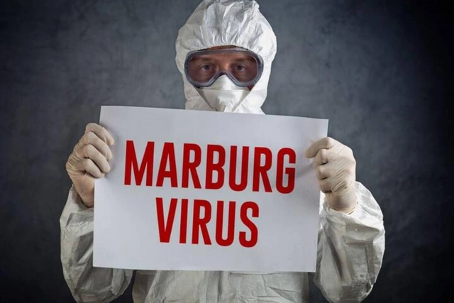 ВОЗ зафиксировала первую в истории вспышку вируса Марбург